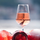 VINO ROSATO